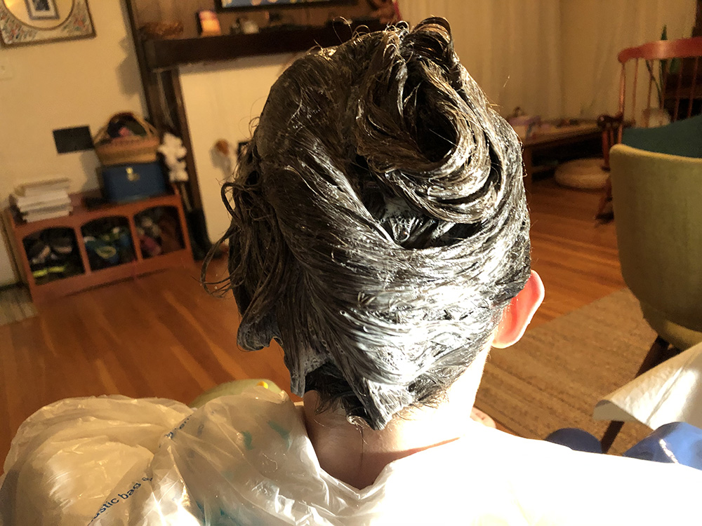 San Diego, California Head lice treatment & Mobile (inhome) removal